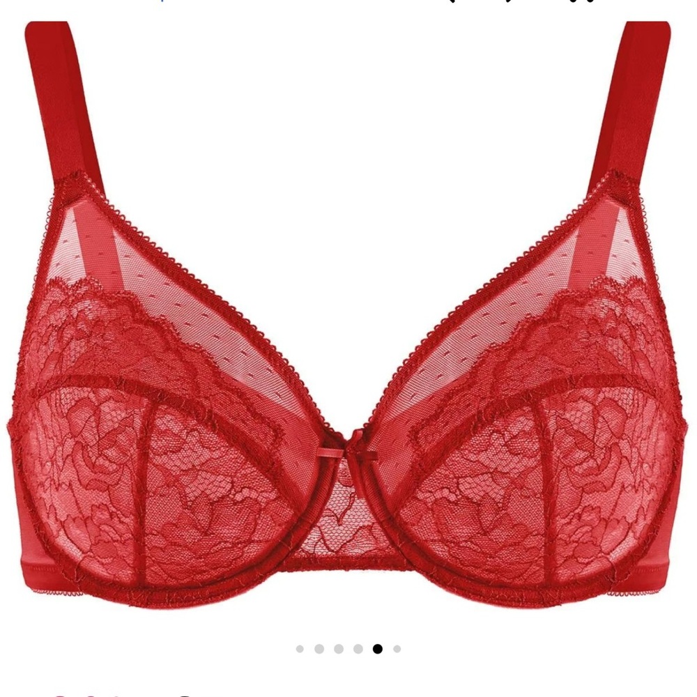 HSIA 34DD Enchanté Red Floral Lace Unlined Bra MINIMIZER BRA